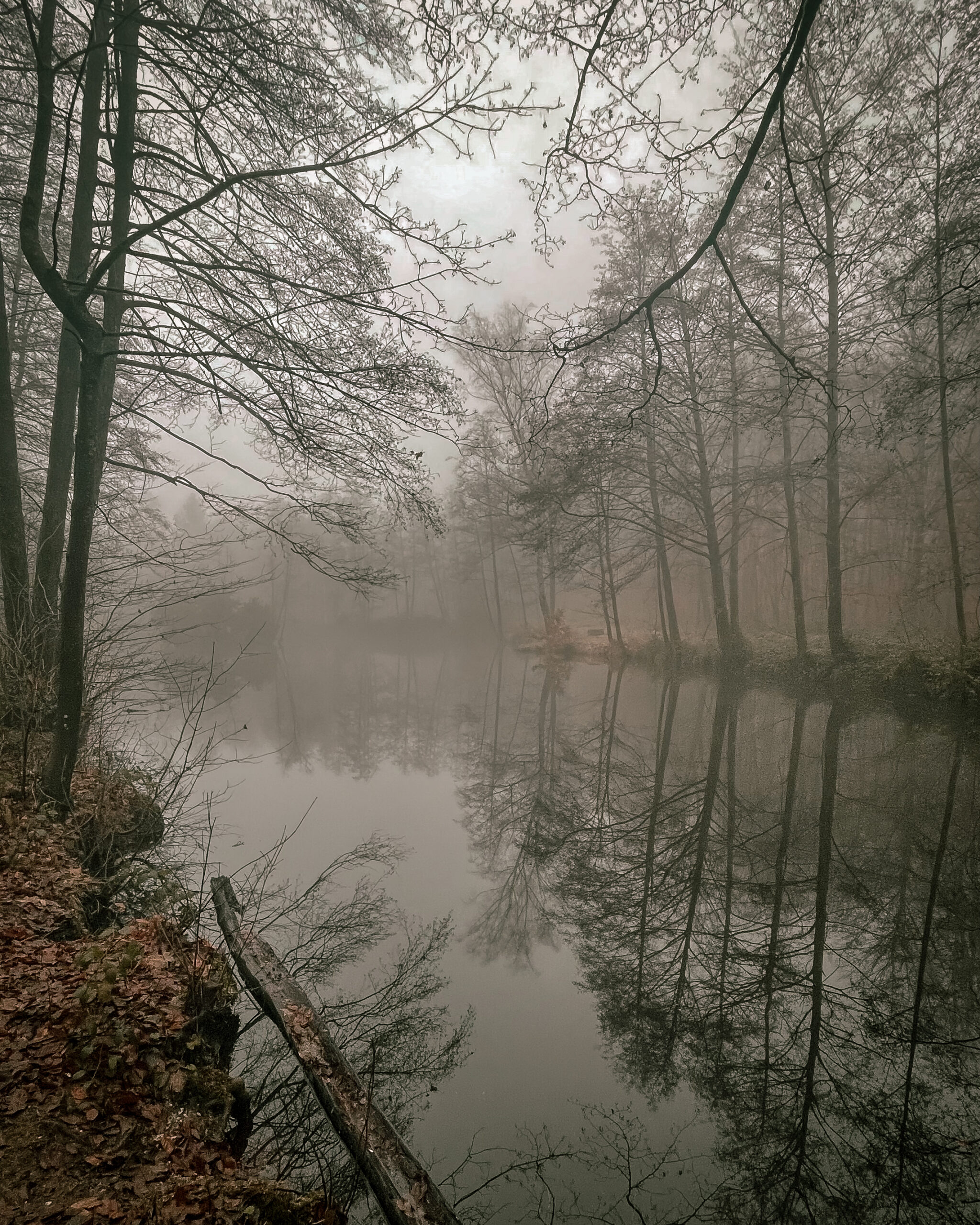 Foto von See im Herbst bei Nebel 